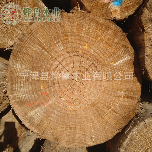 Fire-Resistant Pine LVL Scaffold Boards - OSHA Approved Timber Planks for Safe Job Sites